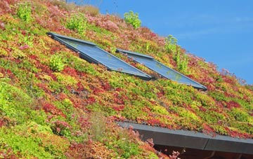 Middlestown living roof systems